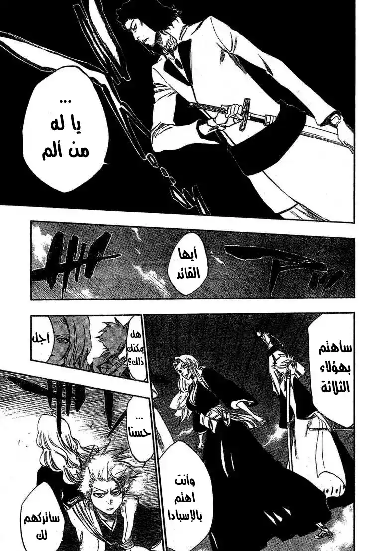 Bleach 329 - الأهتياج página 14