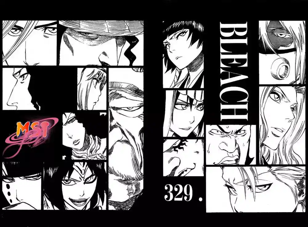 Bleach 329 - الأهتياج página 8