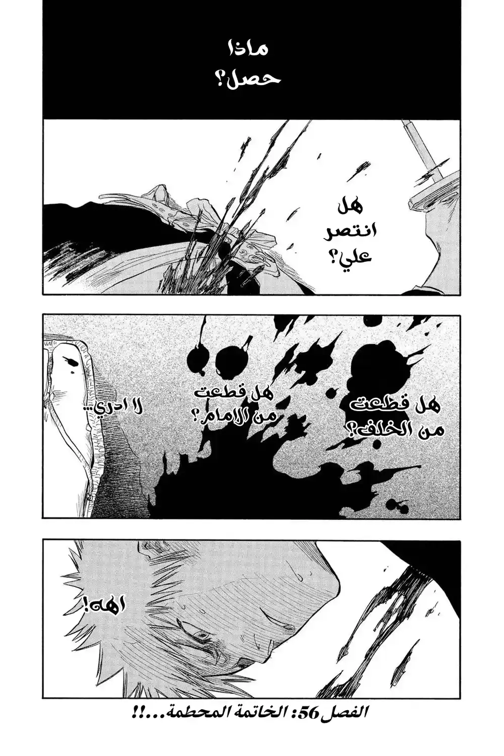 Bleach 56 - النهاية المحطمة...!! página 2