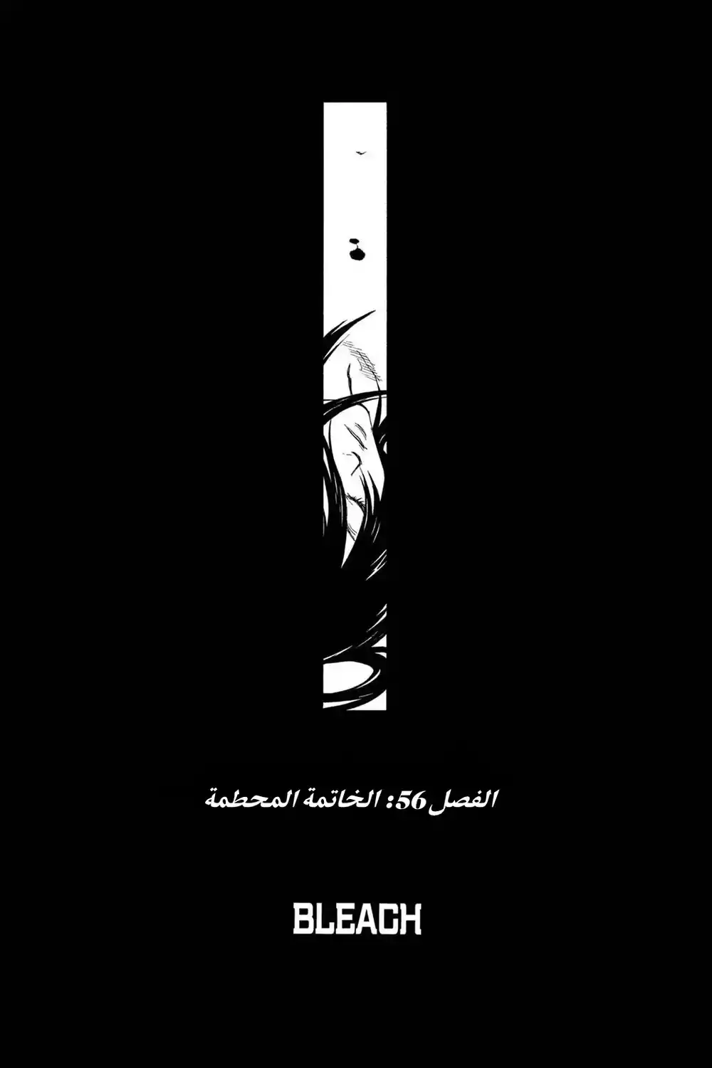 Bleach 56 - النهاية المحطمة...!! página 5