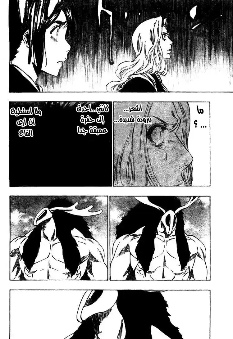 Bleach 336 - الجلاد página 5