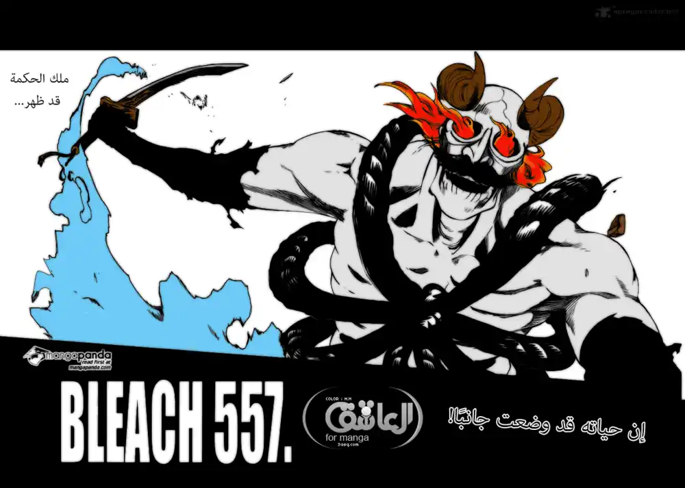 Bleach 557 - !إن حياته قد وضعت جانبًأ página 2