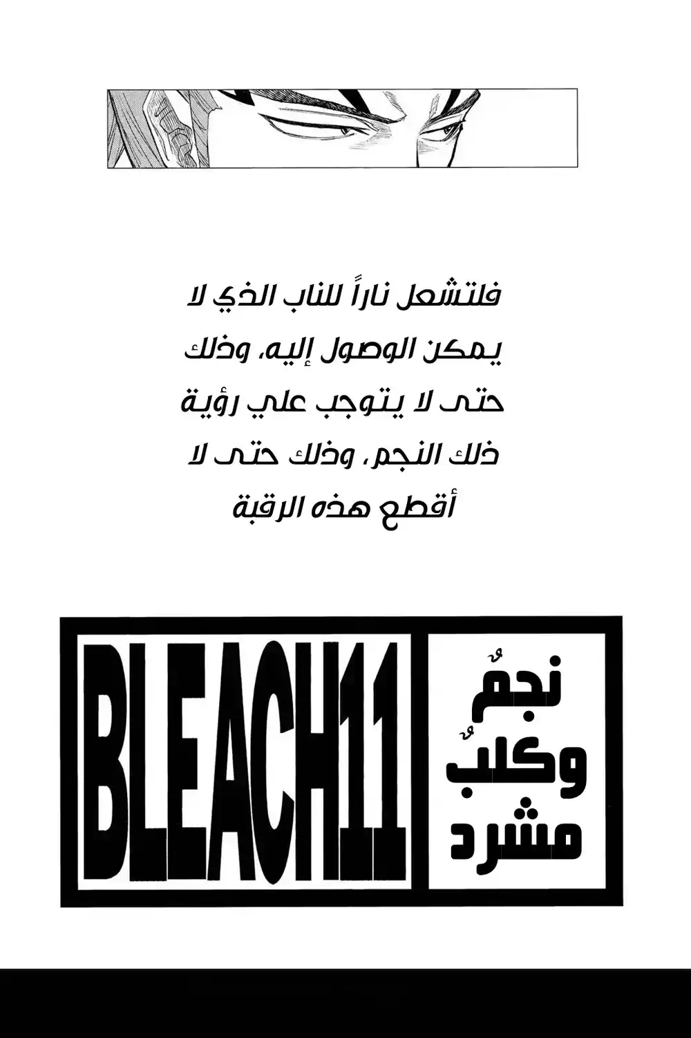 Bleach 89 - الاتقان! والوداع...!! página 3
