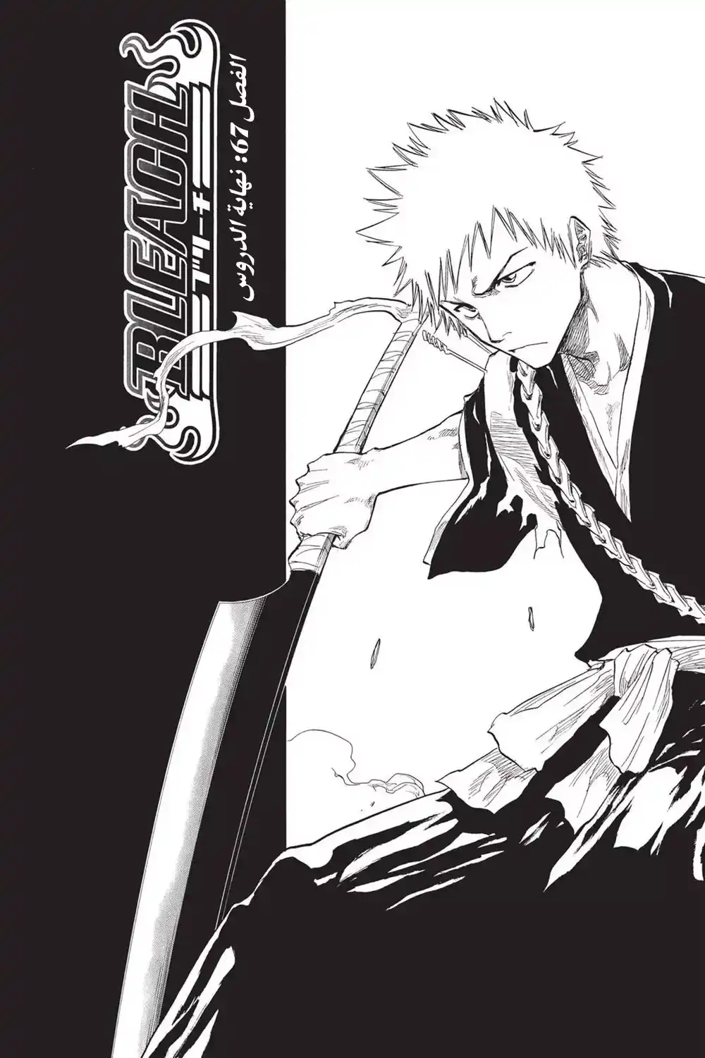 Bleach 67 - نهاية الدروس...!! página 10