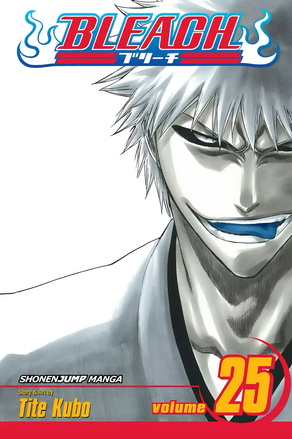 Bleach 215 - أخرج روحانيتك للخارج...!! página 2