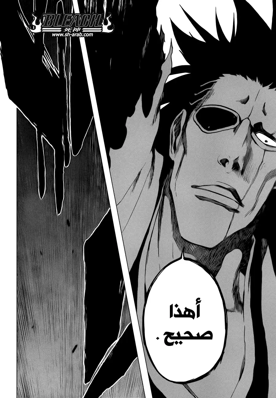 Bleach 573 - أنا هو حد السيف página 15