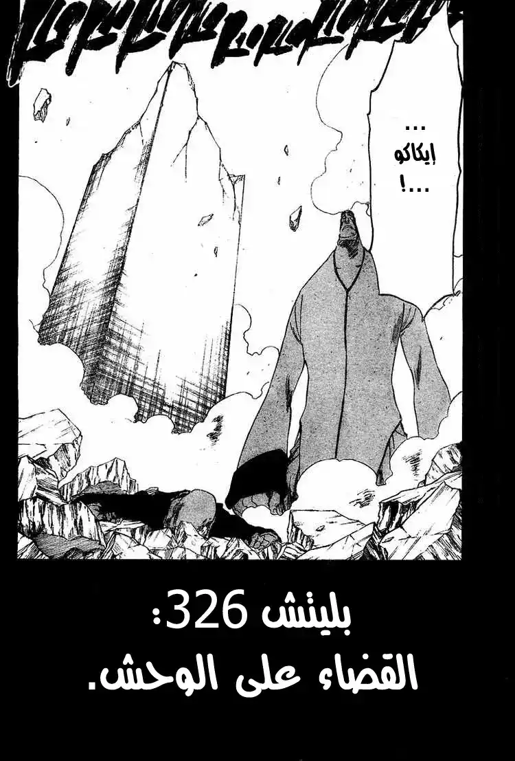 Bleach 326 - القضاء على الوحوش página 2