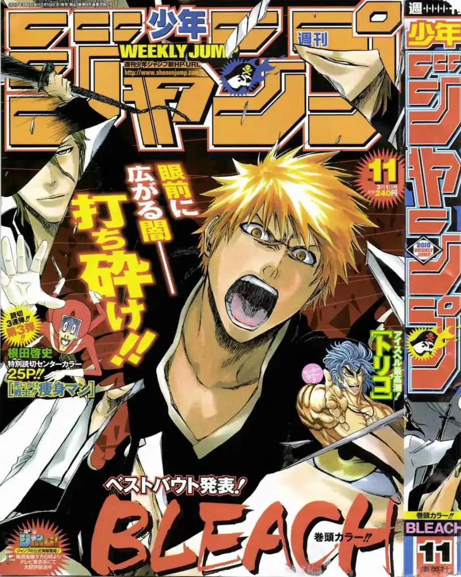 Bleach 392 - الجليد المتكسر página 1