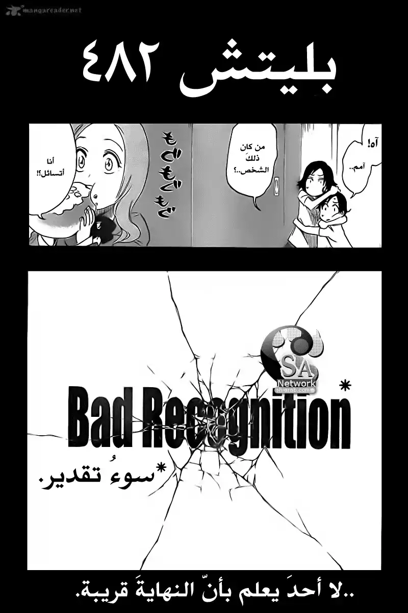 Bleach 482 - سوءُ تقدير página 5