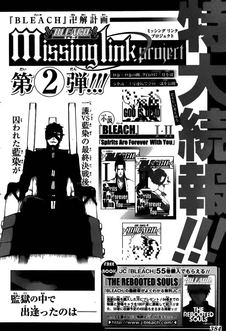 Bleach 491 - تودين اينغل página 3