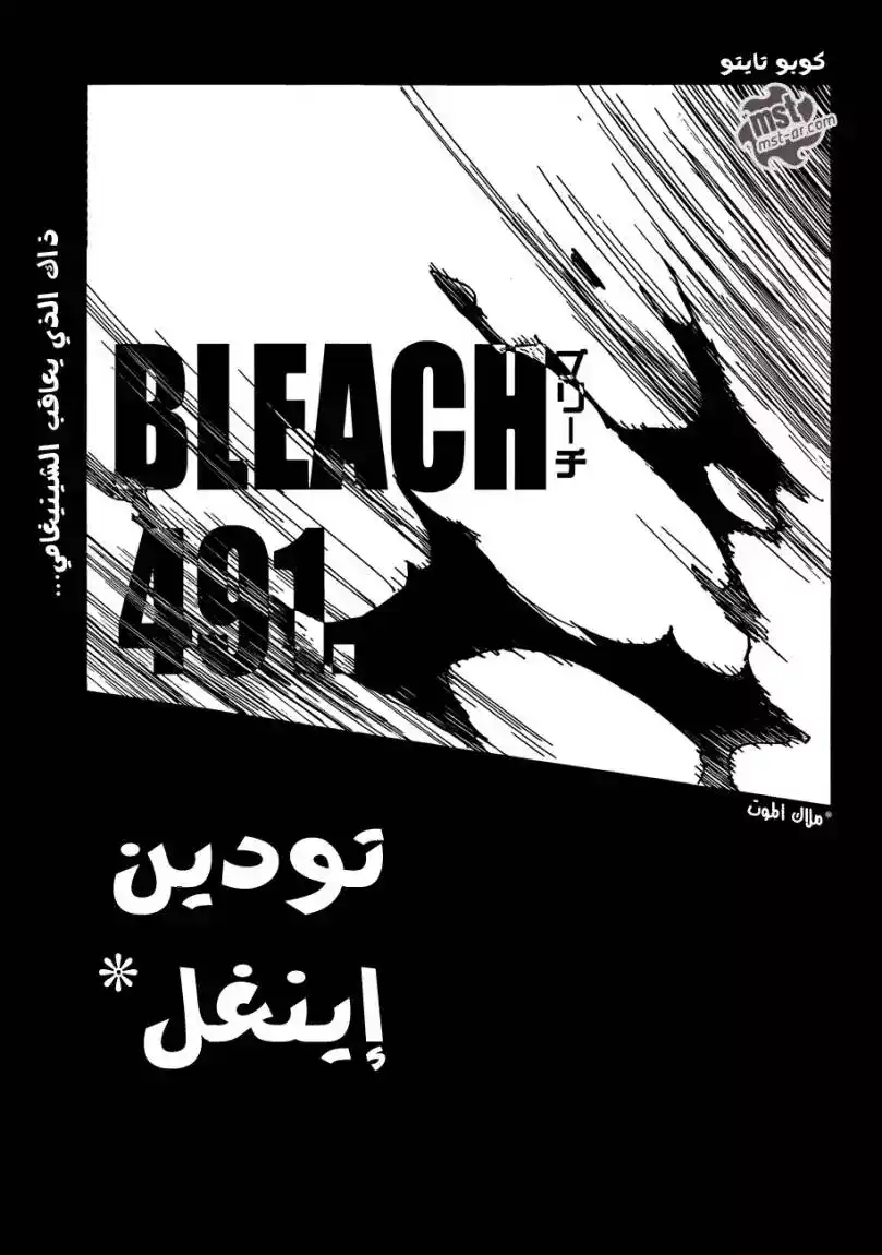 Bleach 491 - تودين اينغل página 5