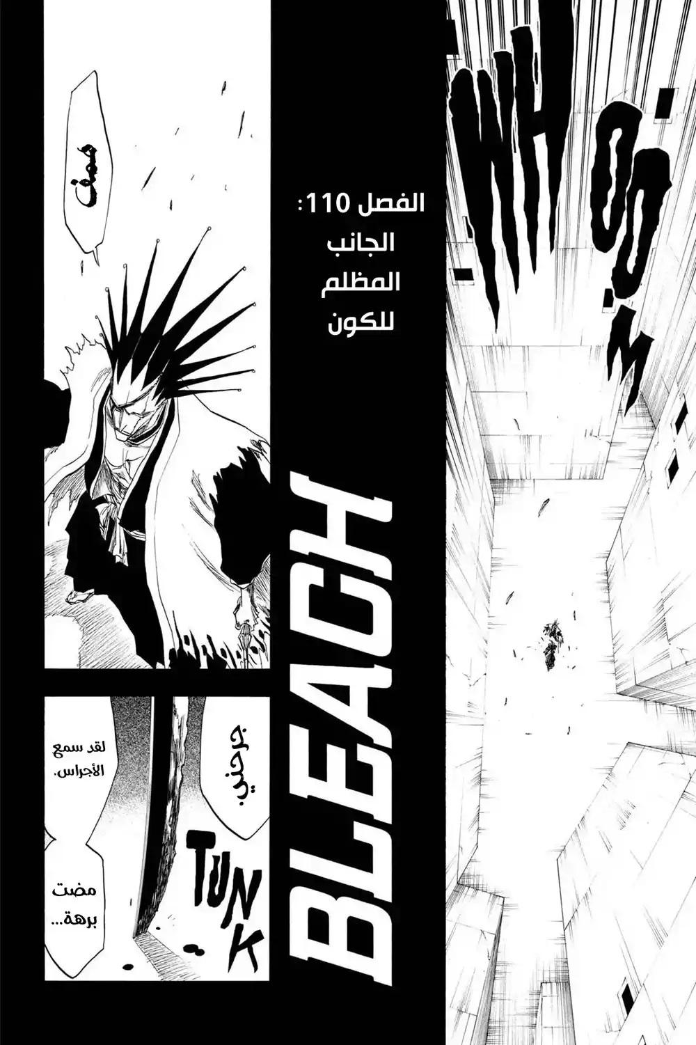 Bleach 110 - الجانب المظلم للكون...!! página 3