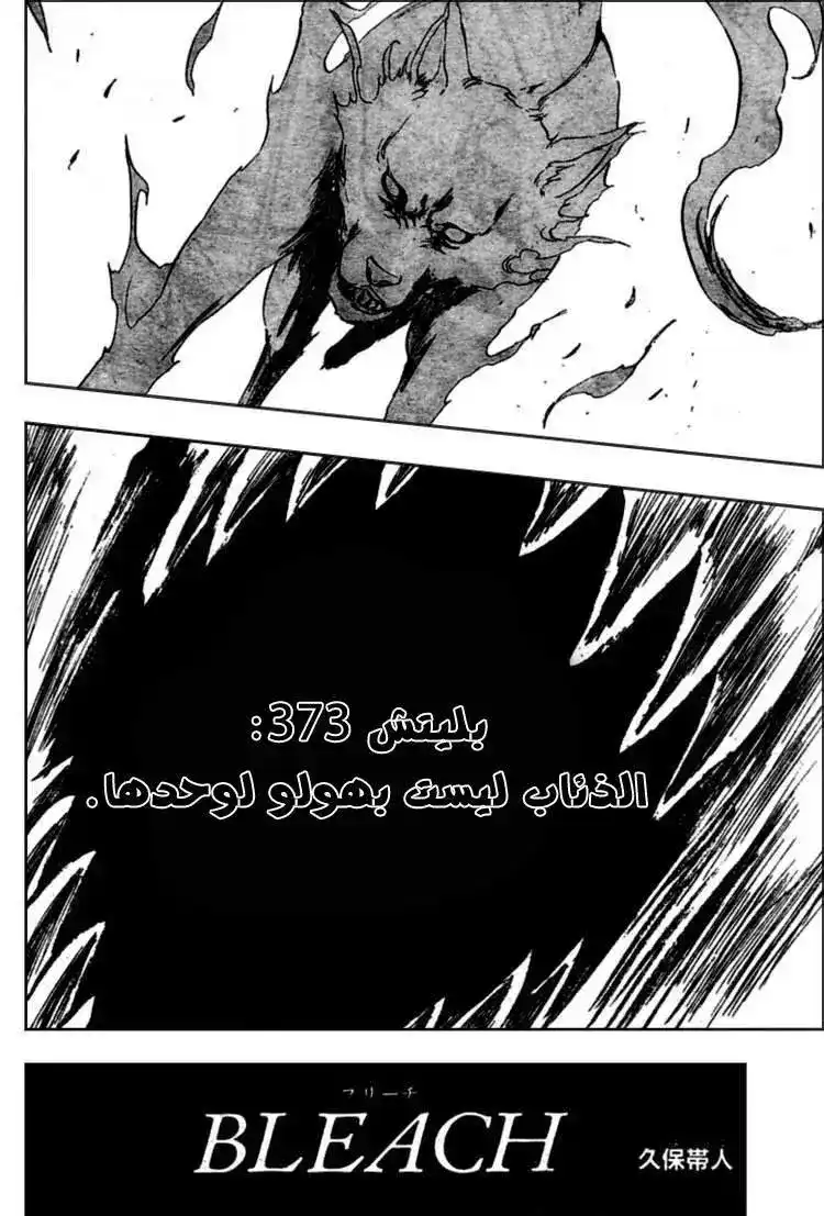 Bleach 373 - الذئاب ليست بهولو لوحدها página 4