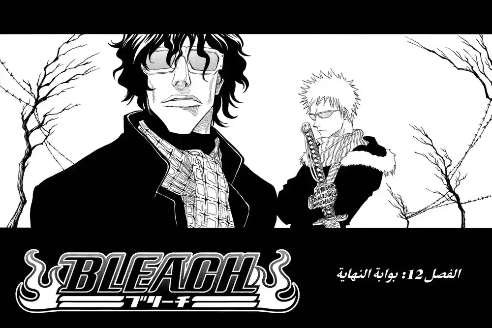 Bleach 12 - بوابة النهاية...!! página 4