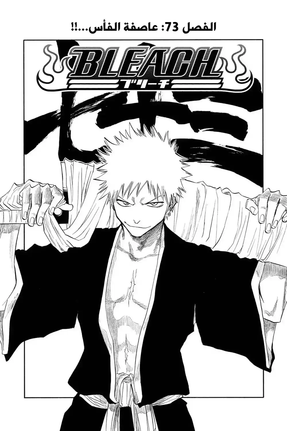 Bleach 73 - عاصفة الفأس...!! página 6