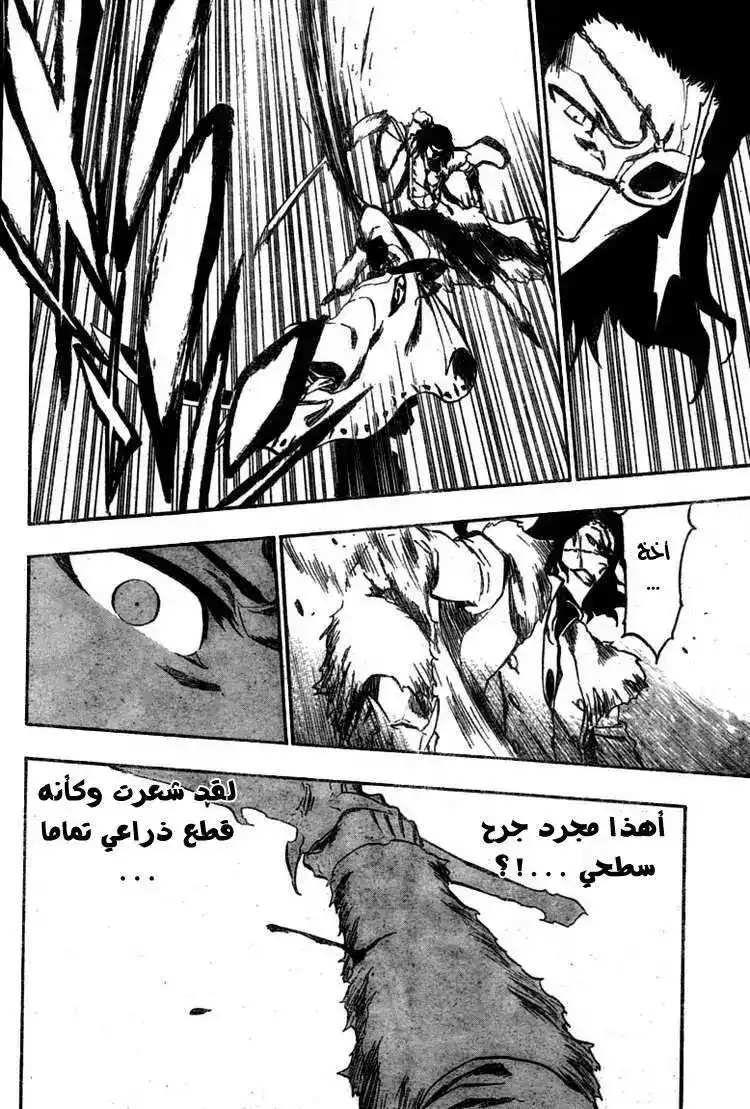 Bleach 374 - ذئاب رمادية،دماء حمراء،ملابس سوداء،وعظام بيضاء página 10