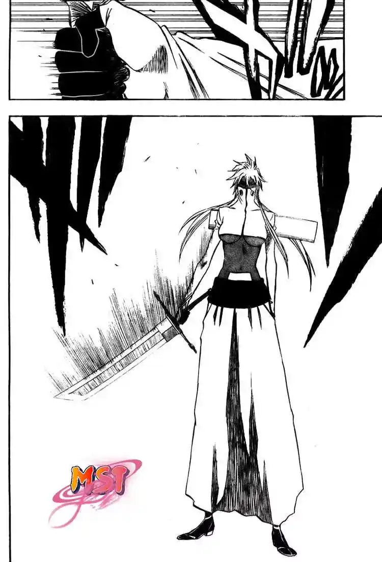 Bleach 330 - معبر السيوف página 2