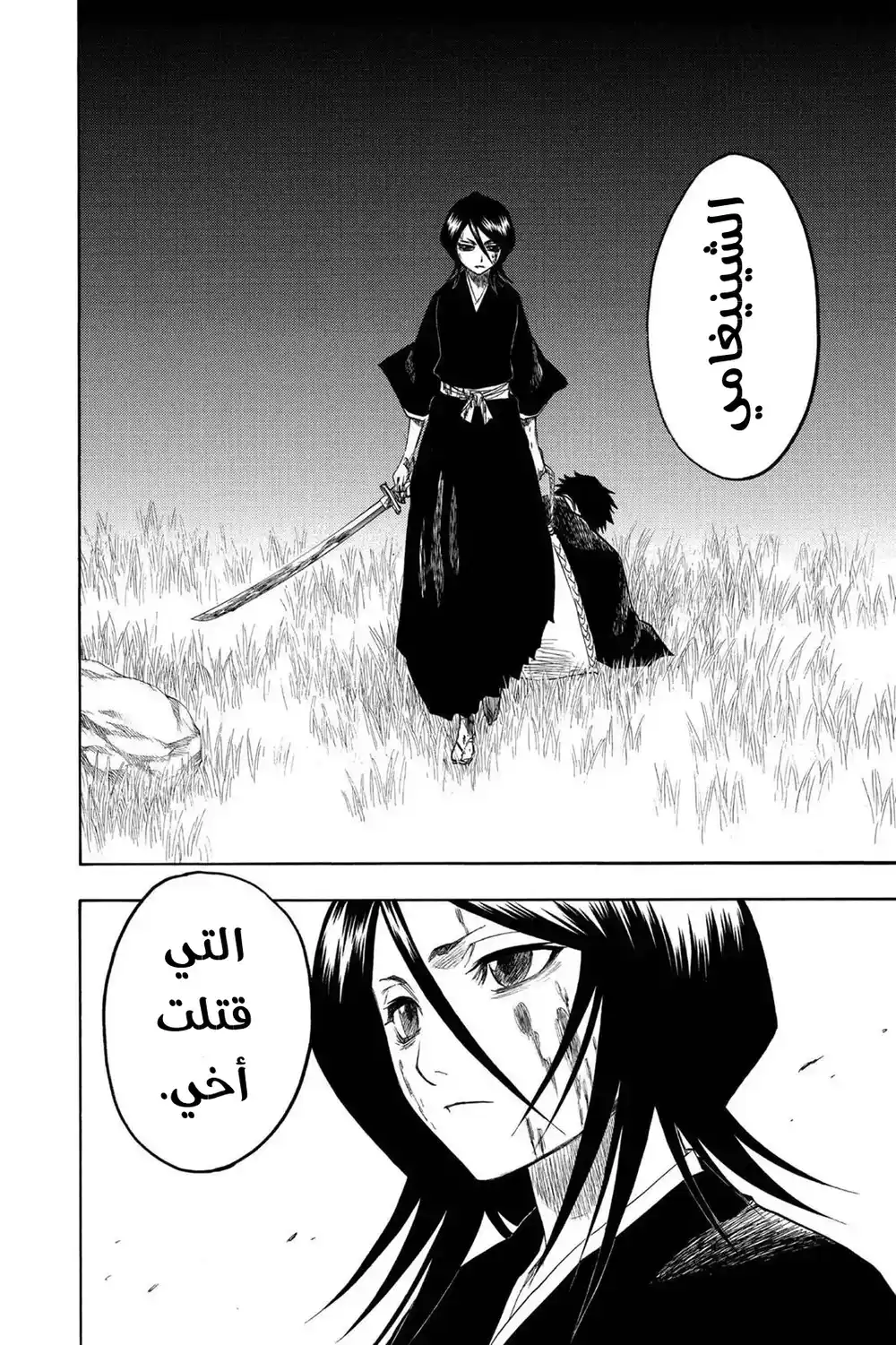 Bleach 115 - بقايا...!! página 15