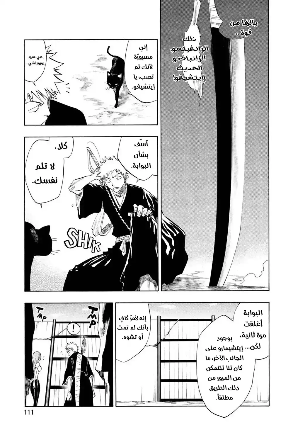 Bleach 76 - البورايدر قادم...!! página 4