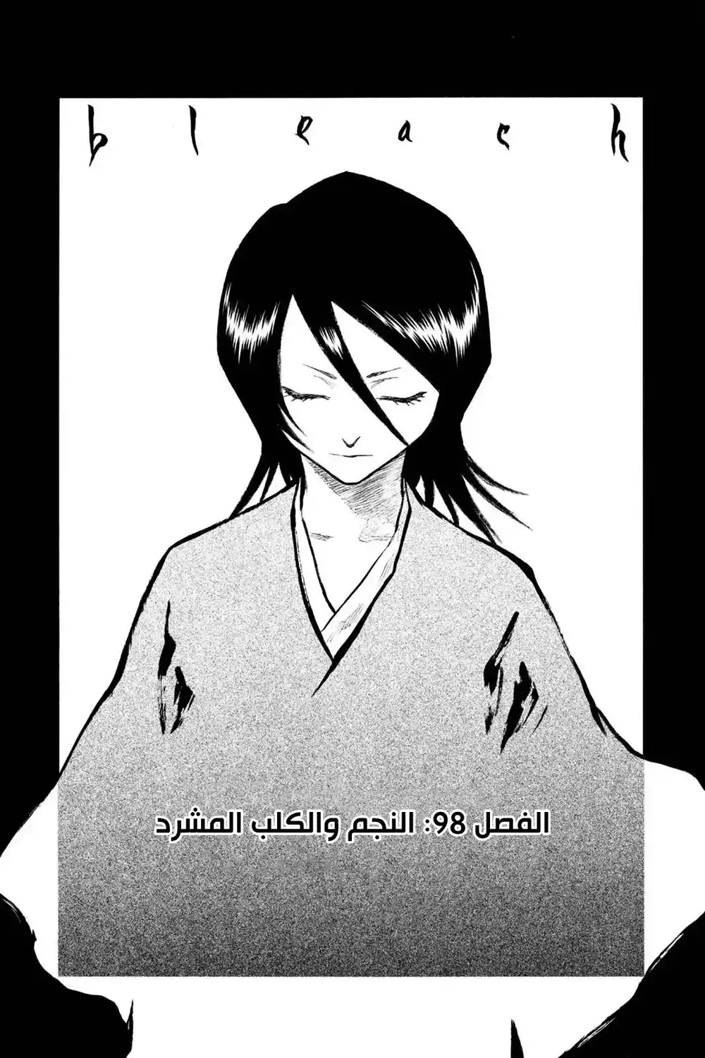 Bleach 98 - النجم والكلب المشرد...!! página 5