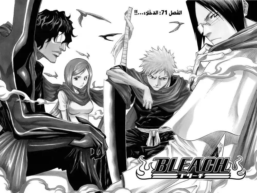 Bleach 71 - الدخلاء...!! página 6