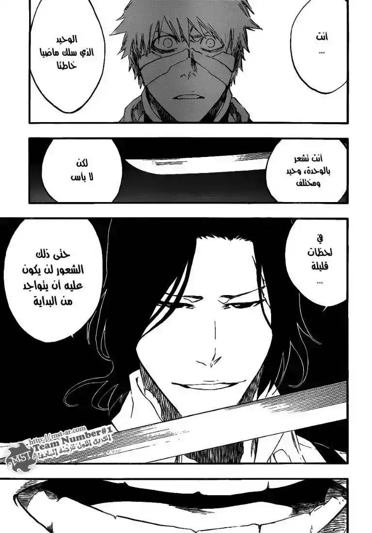 Bleach 456 - نهاية الروابط 2 página 14