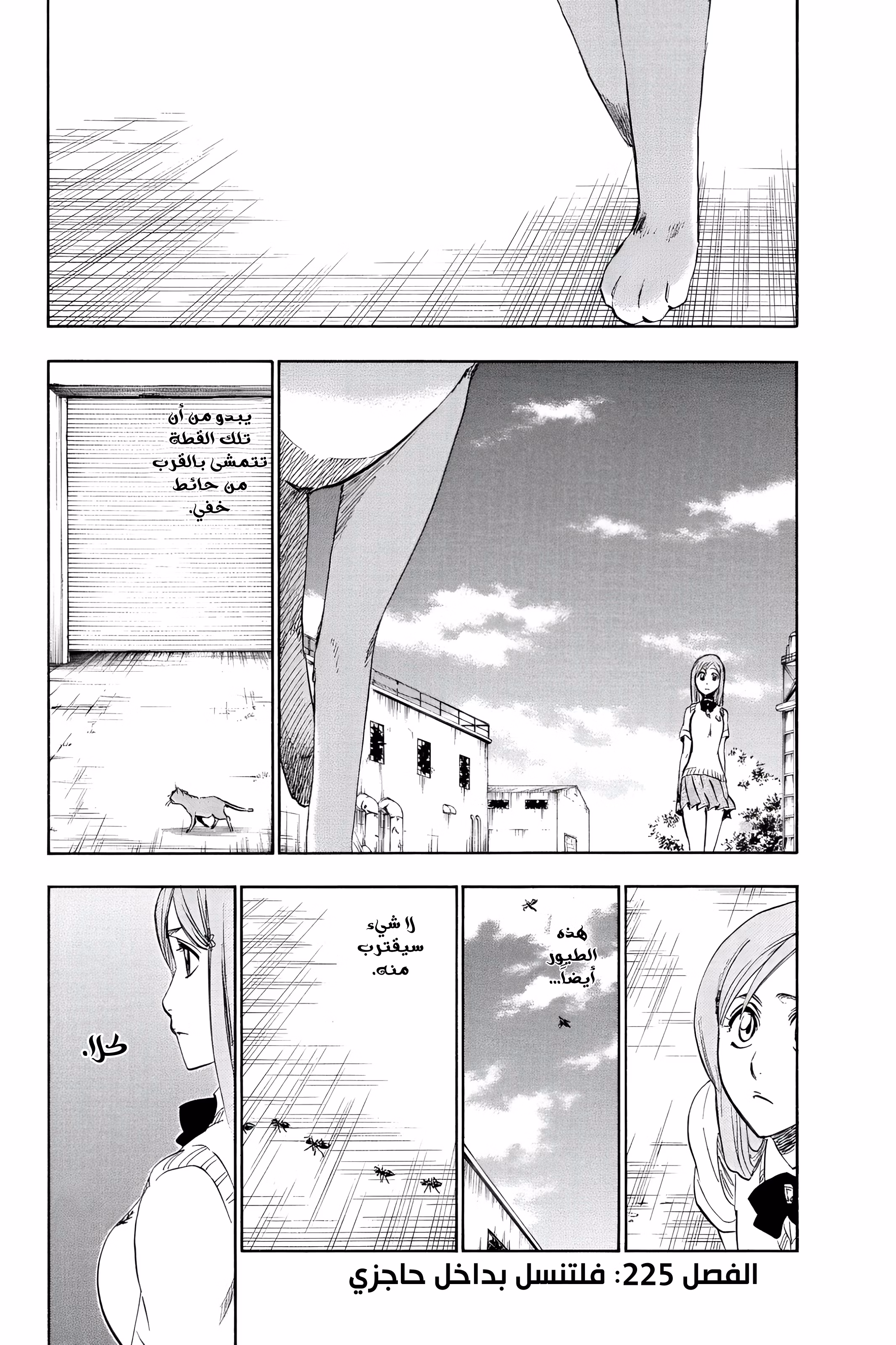 Bleach 225 - فلتنسل داخل حاجزي...!! página 2