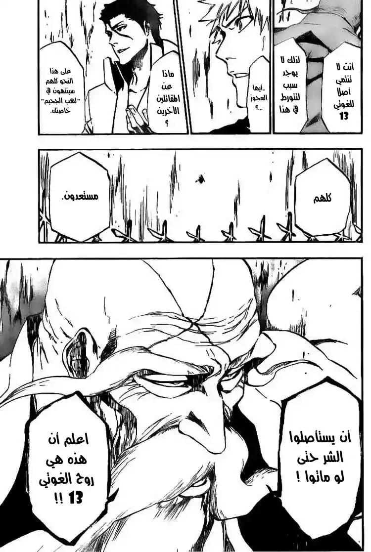 Bleach 393 - الجحيم المنهك página 14