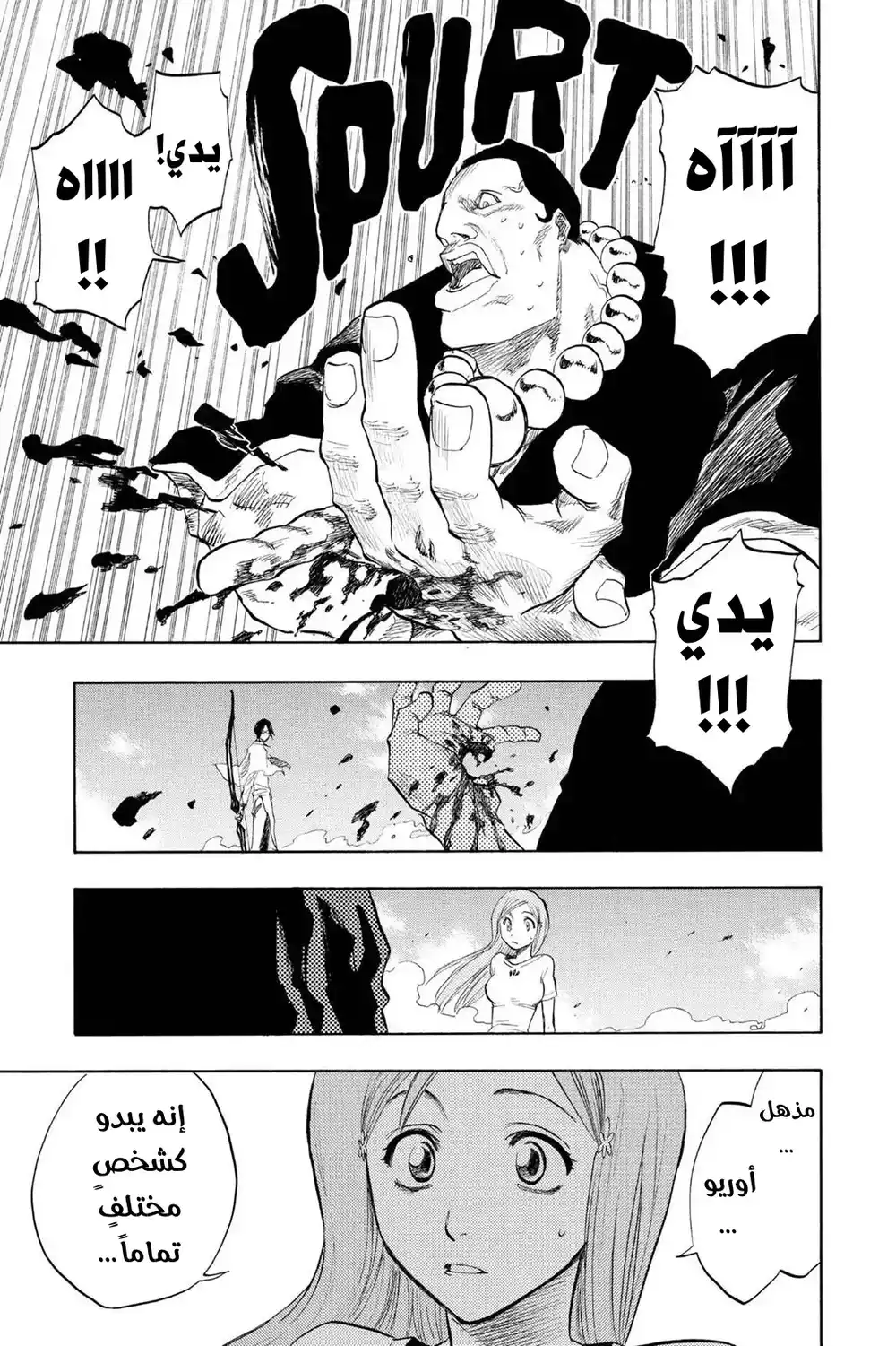 Bleach 92 - الإتقان! والوداع (تكرار)...!! página 2