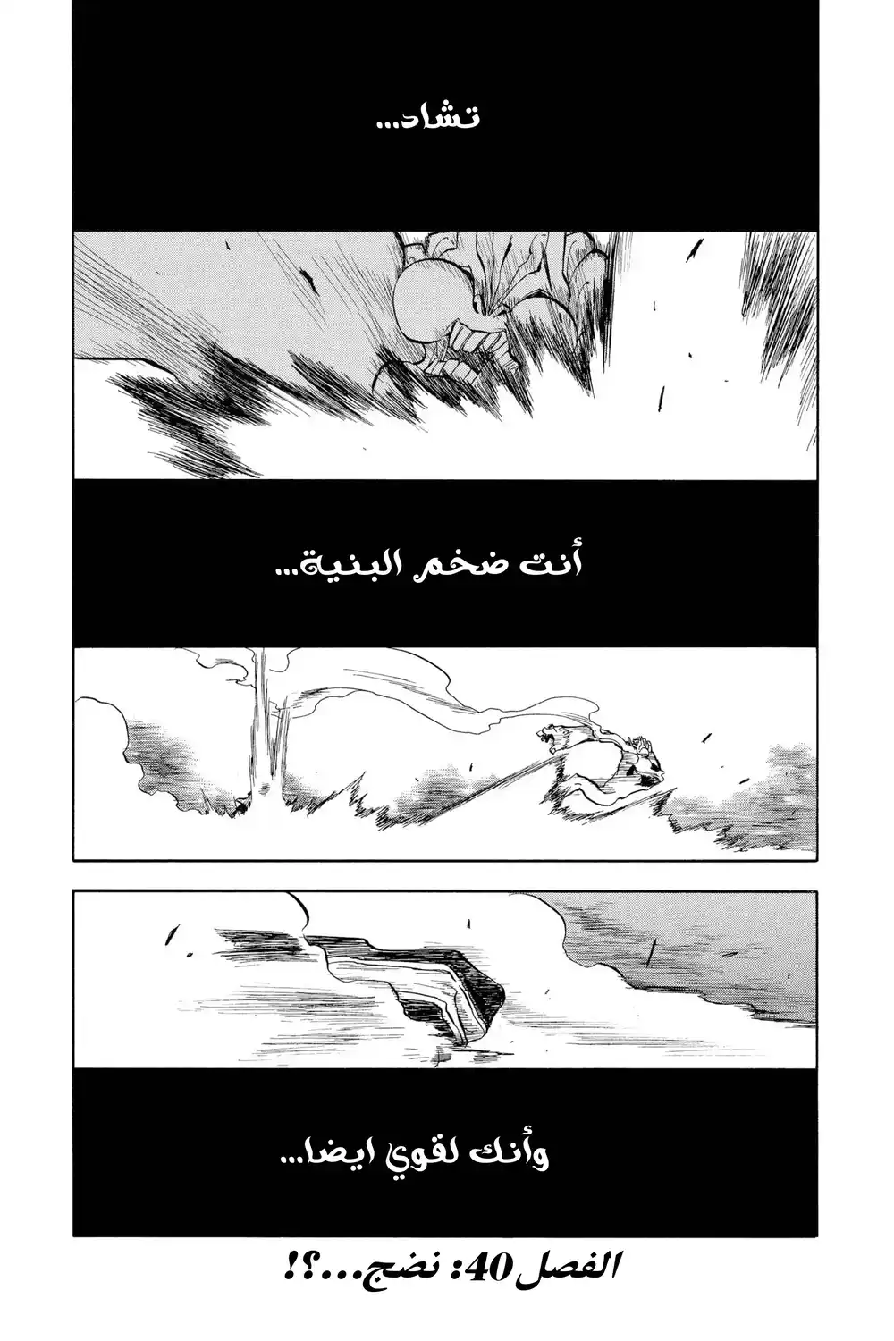 Bleach 40 - نضج...؟! página 2