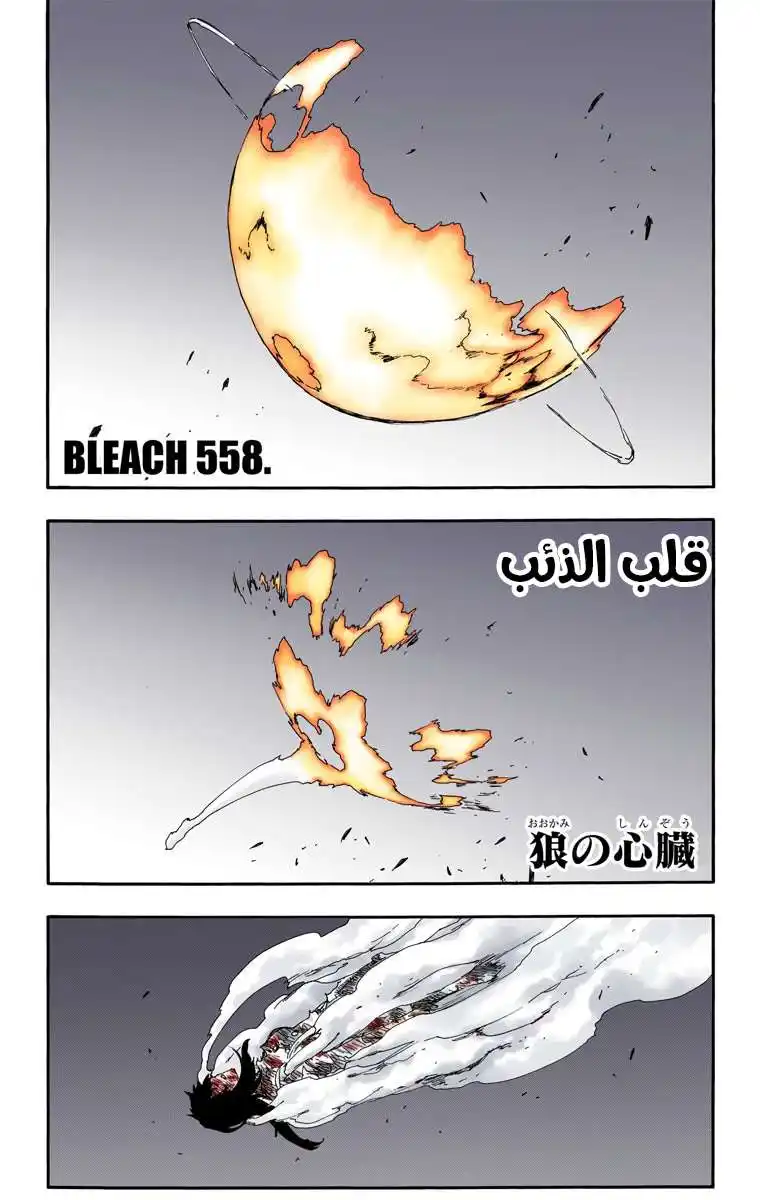Bleach - Digital Colored 558 - مانجا بليتش ملونه الفصل 558 página 5