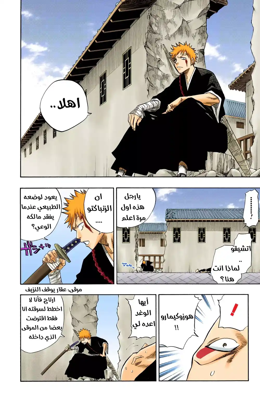 Bleach - Digital Colored 89 - بأتقان والوداع página 9