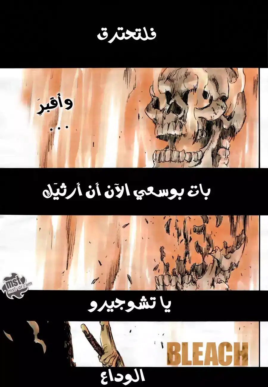 Bleach - Digital Colored 505 - مانجا بليتش ملونه الفصل 505 página 3