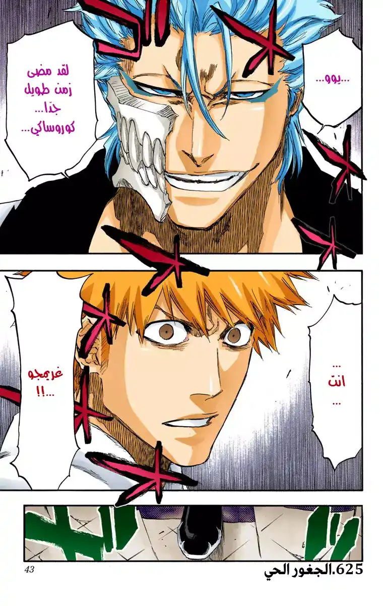 Bleach - Digital Colored 625 - مانجا بليتش ملونه الفصل 625 - الجغور الحي página 3