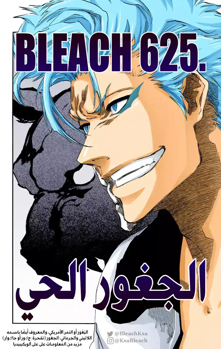 Bleach - Digital Colored 625 - مانجا بليتش ملونه الفصل 625 - الجغور الحي página 4