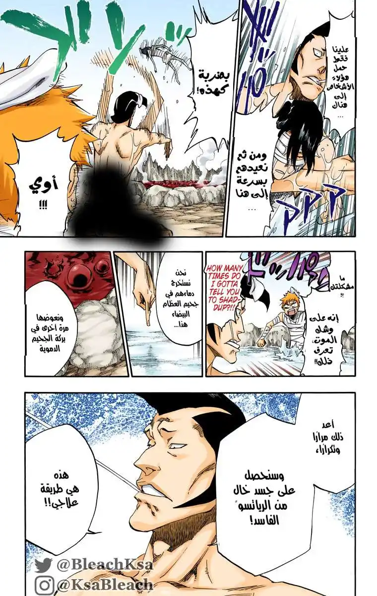 Bleach - Digital Colored 519 - مانجا بليتش ملونه الفصل 519 página 13