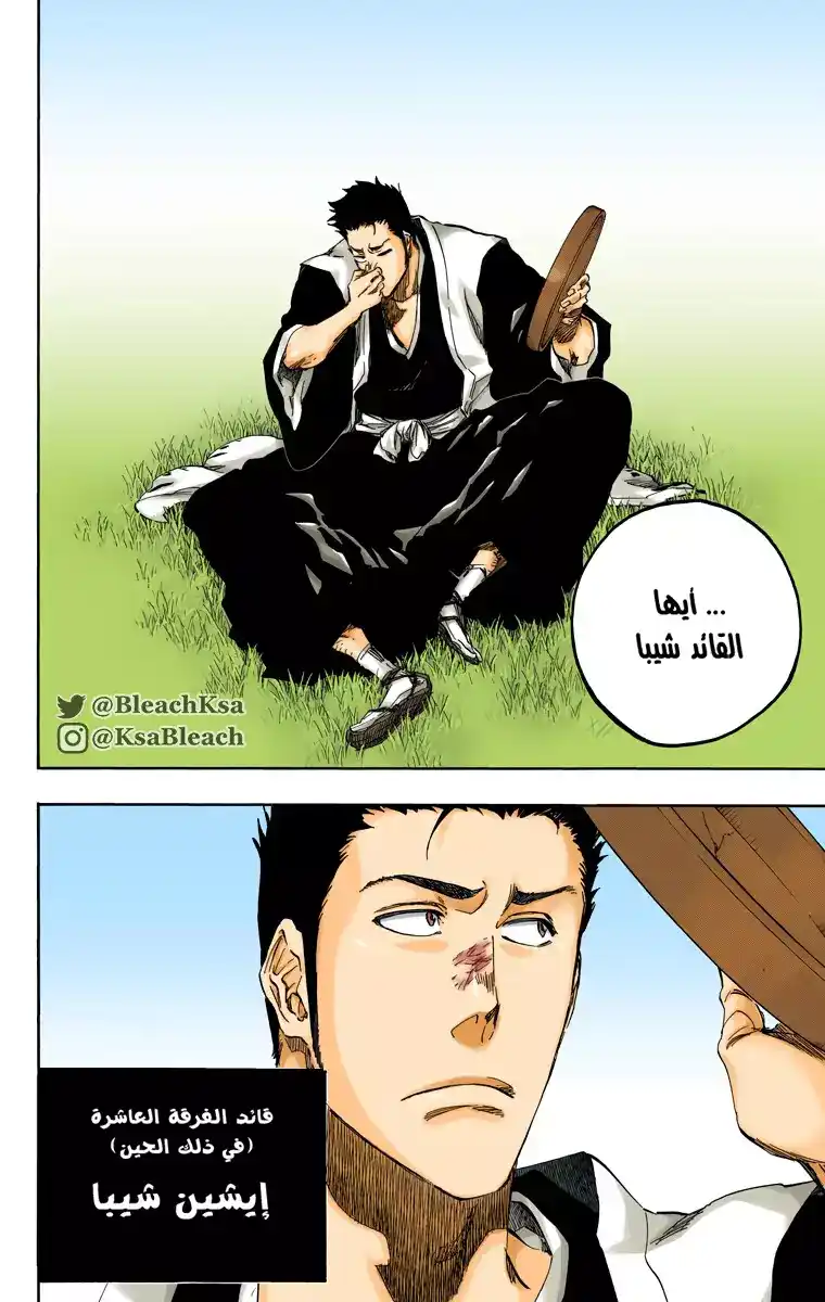 Bleach - Digital Colored 529 - مانجا بليتش ملونه الفصل 529 página 9