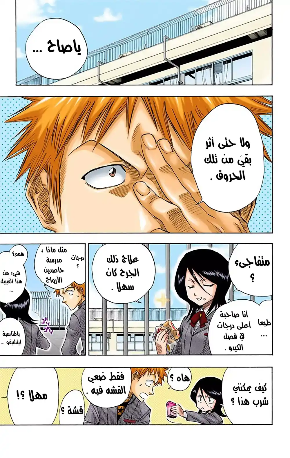 Bleach - Digital Colored 7 - الببغاء وردي الخدين página 5