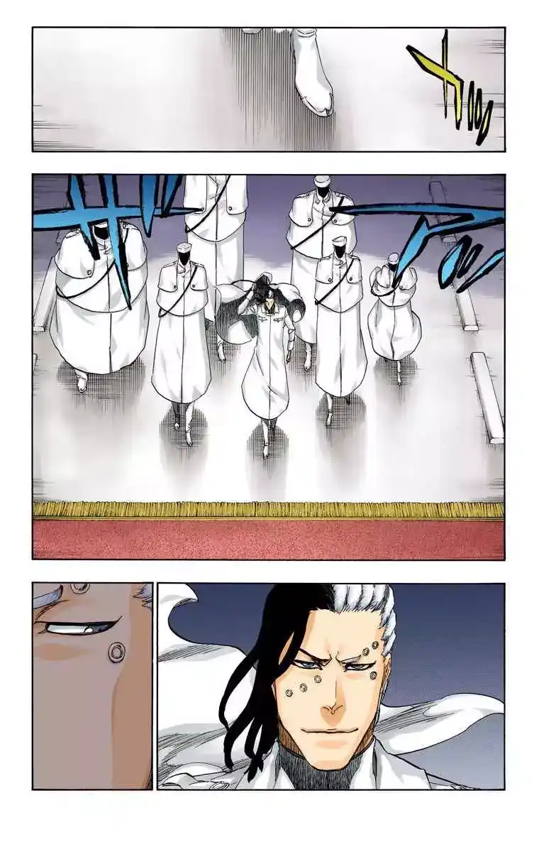Bleach - Digital Colored 484 - مانجا بليتش ملونه الفصل 484 página 13
