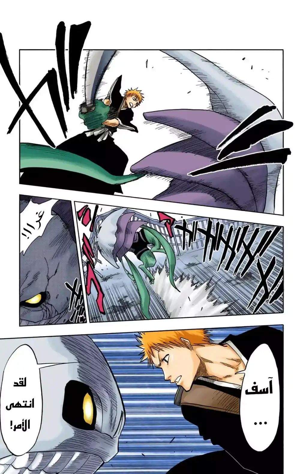 Bleach - Digital Colored 32 - "البطل دائماً معي؟" página 13