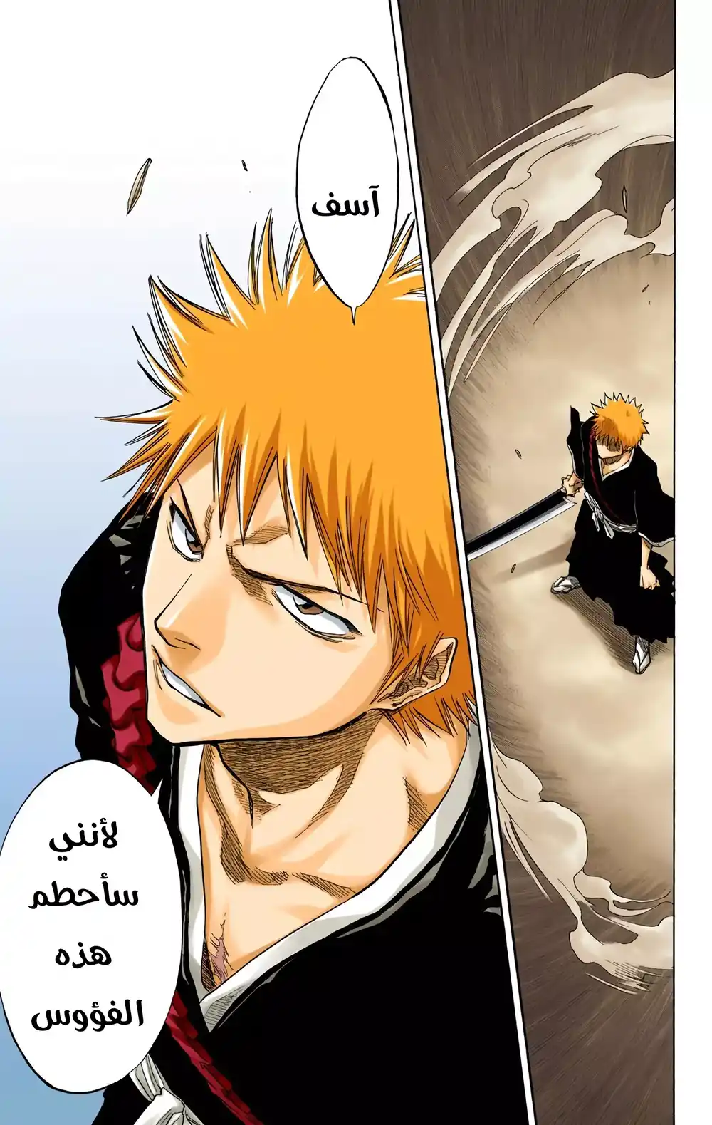 Bleach - Digital Colored 73 página 17