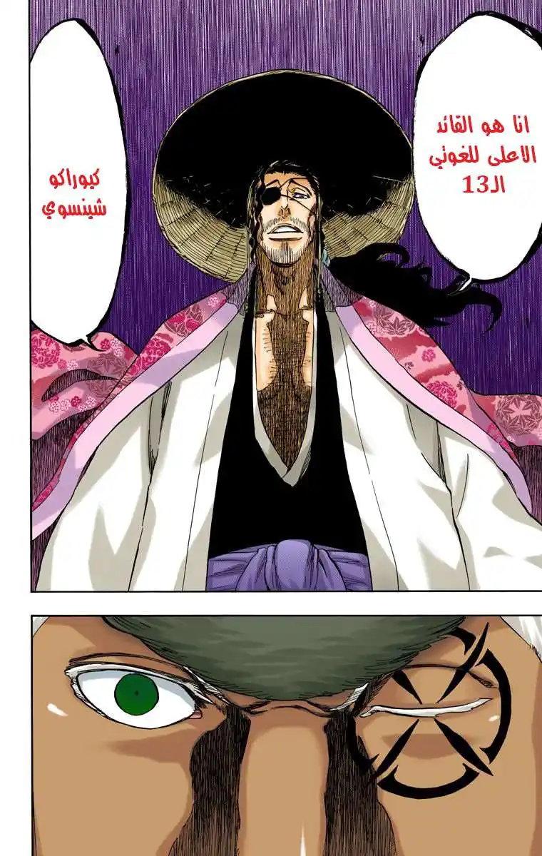 Bleach - Digital Colored 645 - مانجا بليتش ملونه الفصل 645 - لا تطارد ظلاً página 12