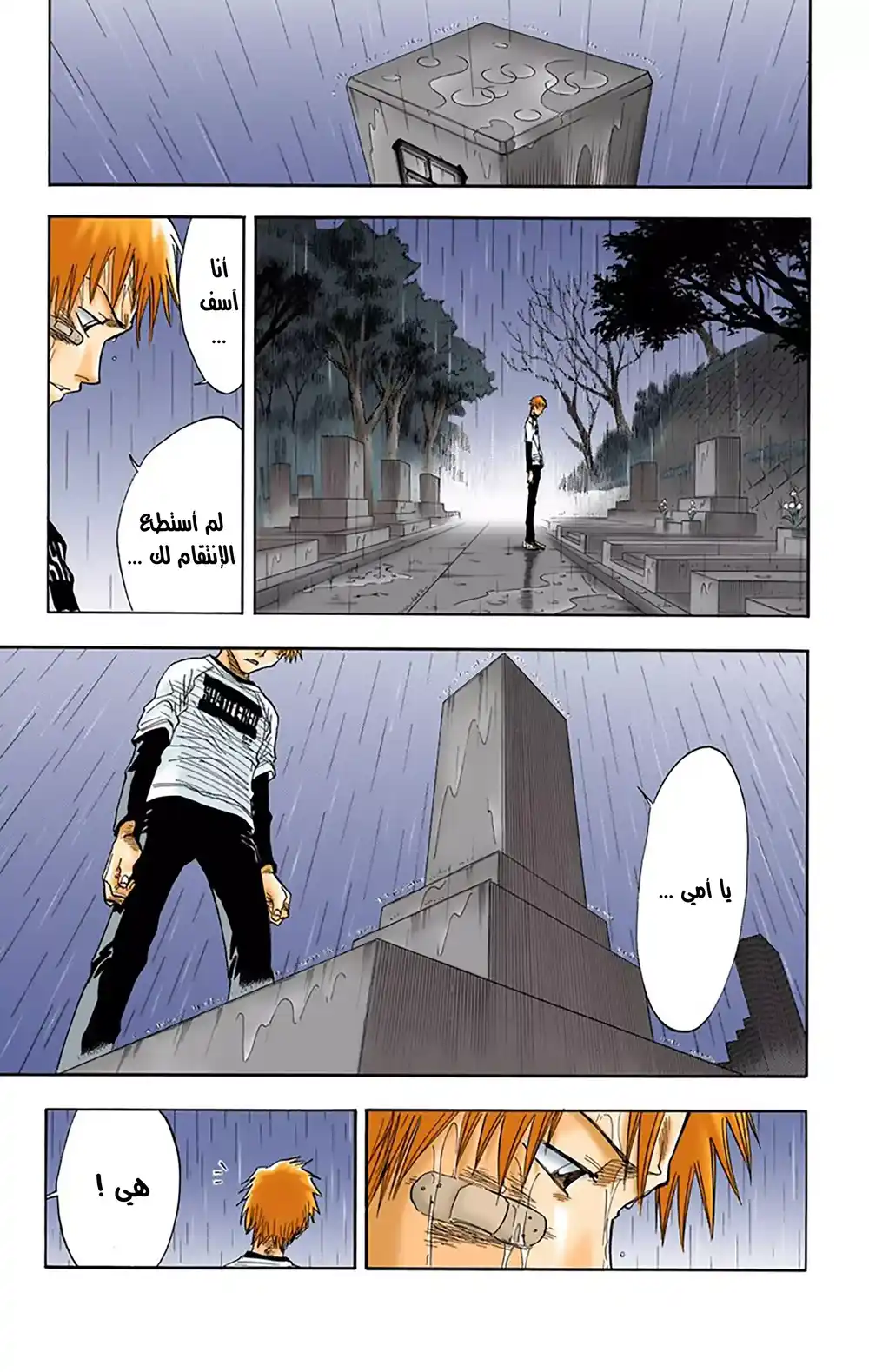 Bleach - Digital Colored 25 - الفتى المقاتل 2 página 6