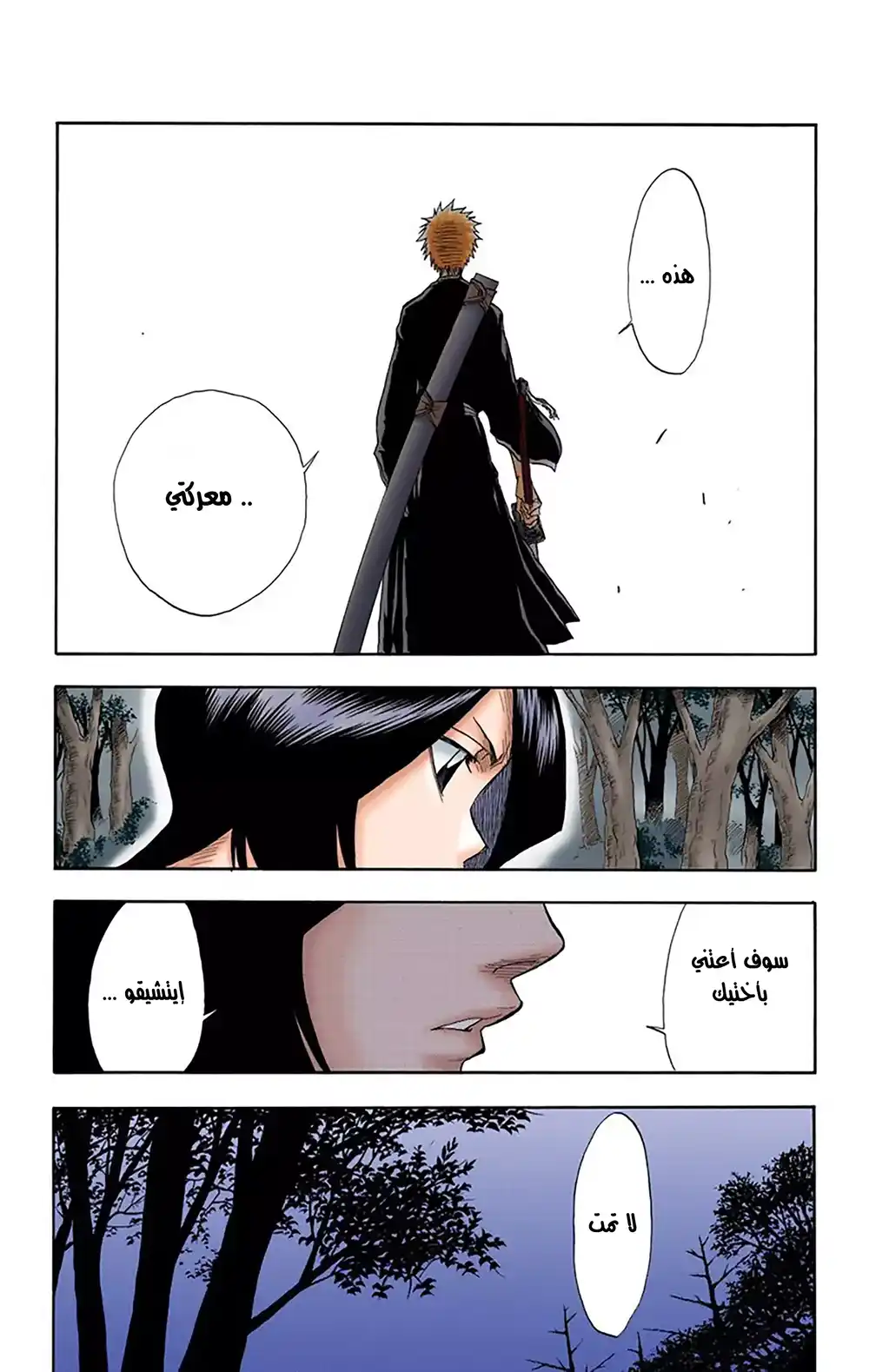 Bleach - Digital Colored 22 - معركة في المقبرة página 4
