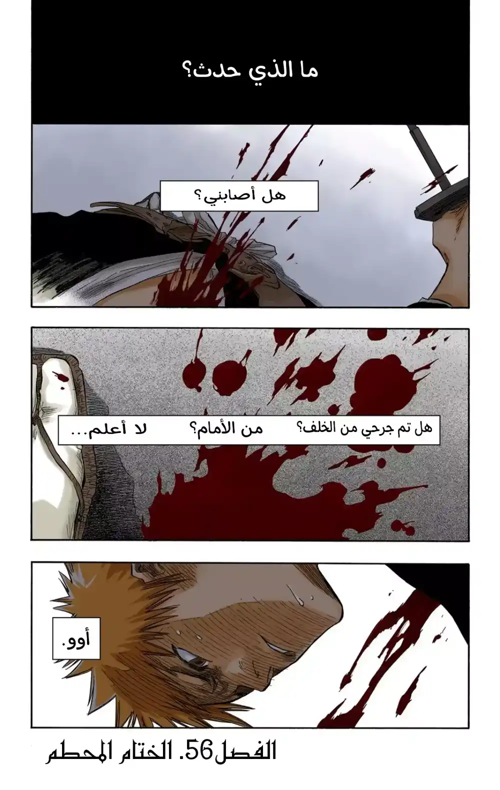 Bleach - Digital Colored 56 - "الختام المحطم" página 2