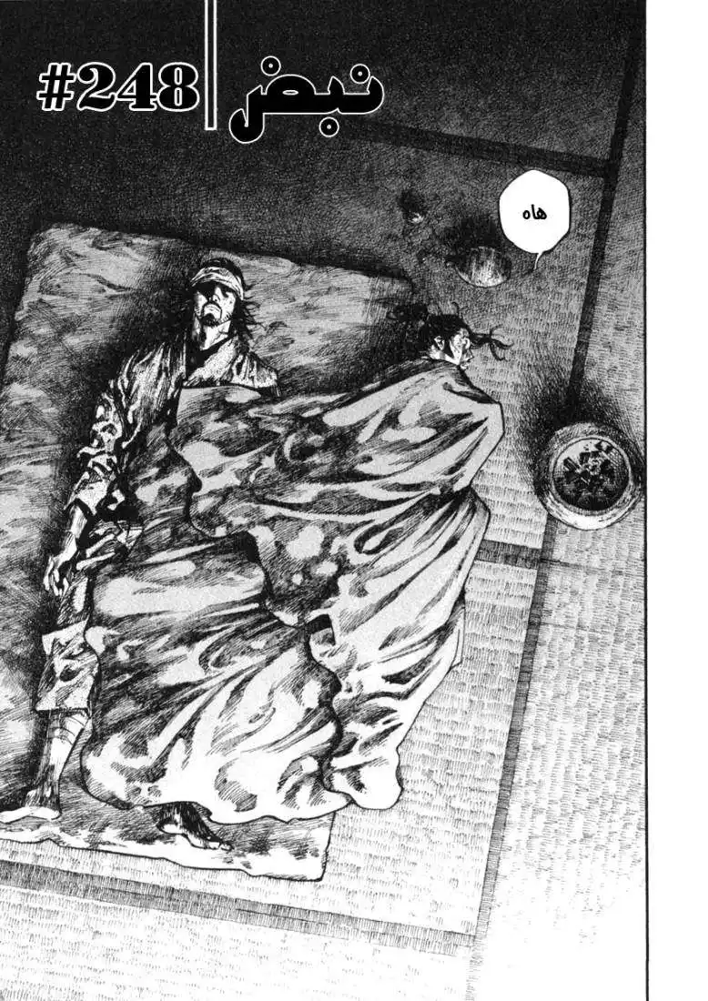 Vagabond 248 - Pulse página 4