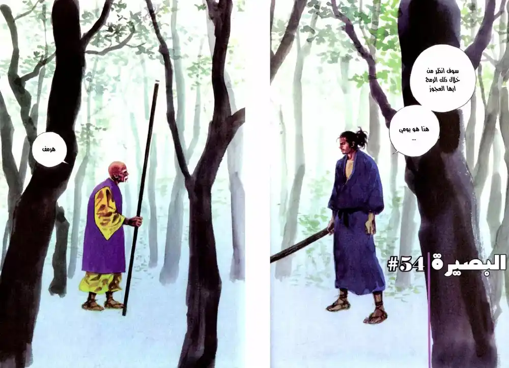 Vagabond 54 - Vision página 3