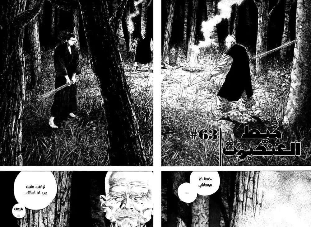 Vagabond 63 - Spiders Thread página 3