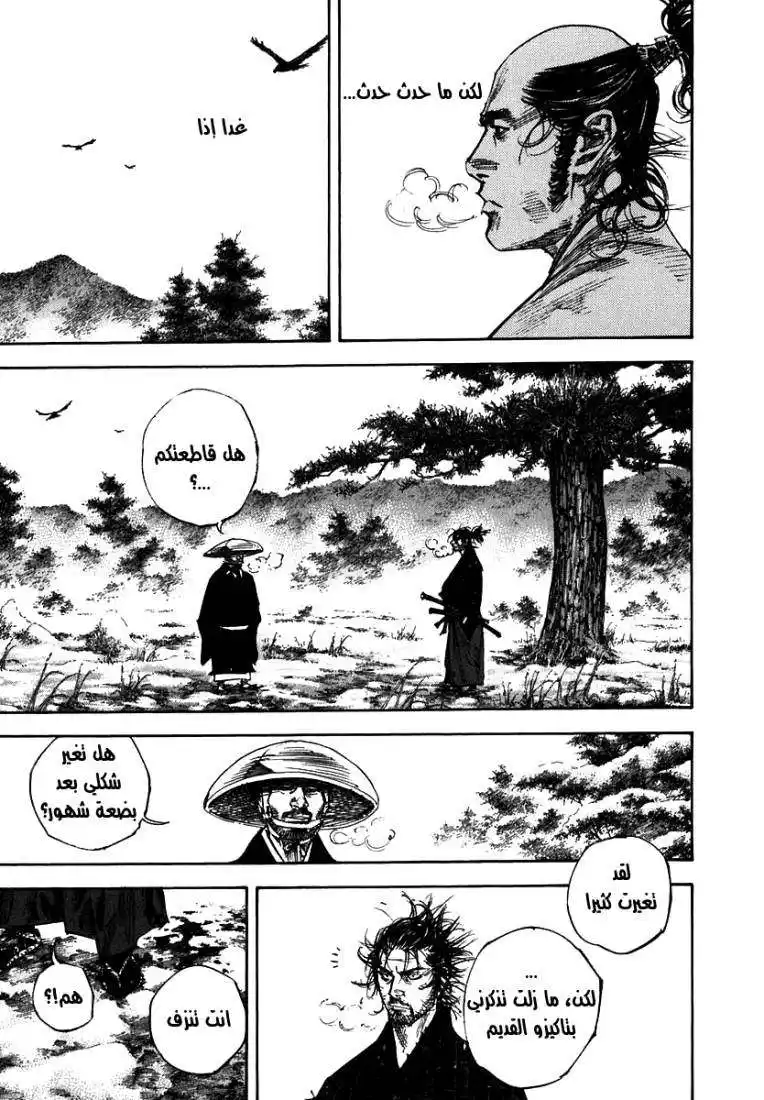 Vagabond 224 - Ichijoji Sagarimatsu página 15