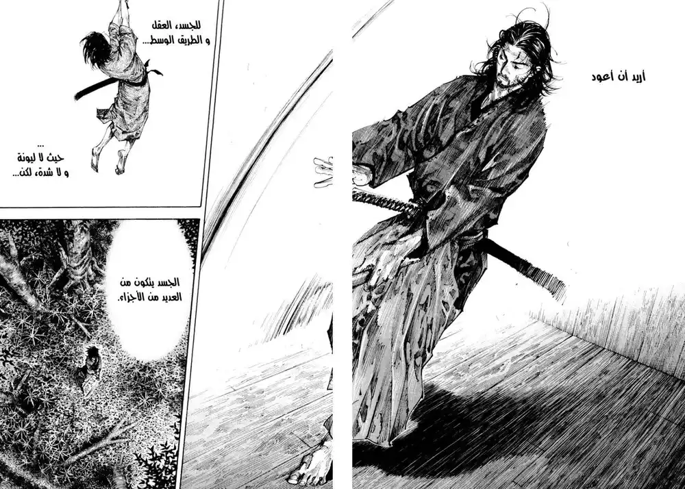 Vagabond 269 - Light página 3
